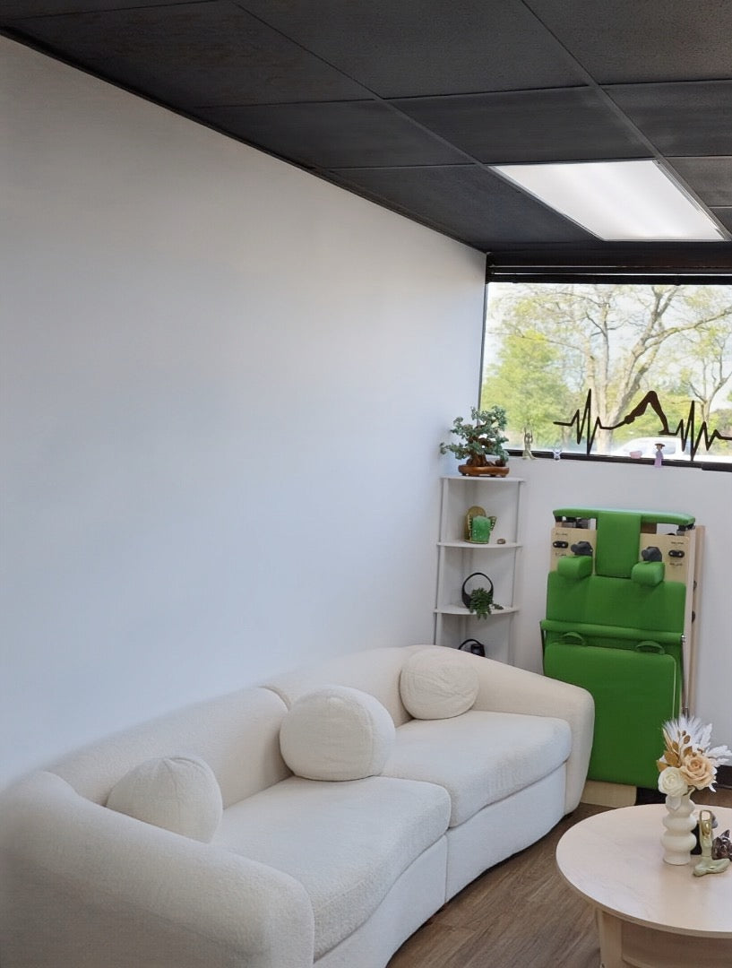 Janet Elite 2.0 – Foldable Pilates Reformer - RE015