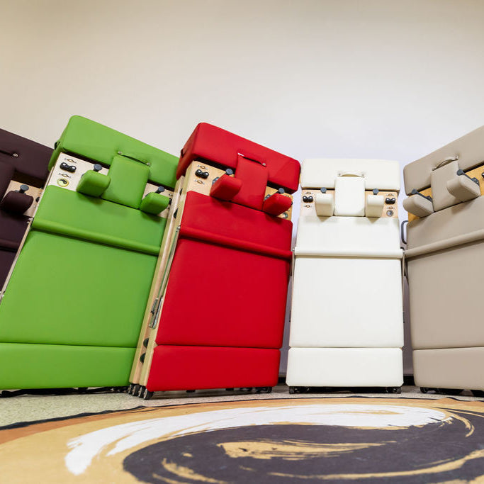 Zous Pro - Foldable Pilates Reformer - RE017 RE020